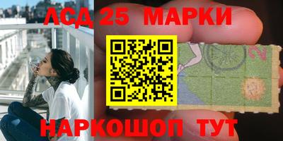 альфа пвп Аргун
